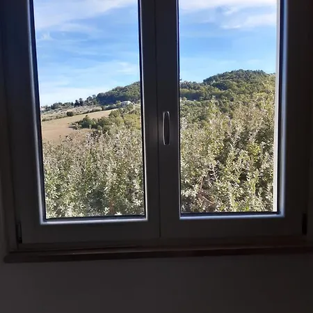 Quercia Grande * Casoli (Abruzzo)