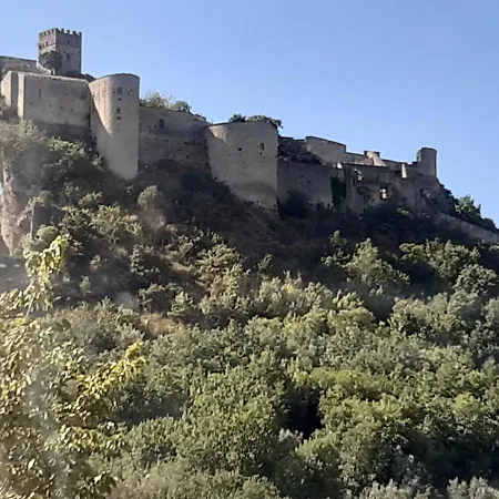 Quercia Grande * Casoli (Abruzzo)
